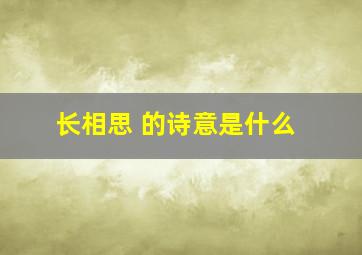 长相思 的诗意是什么